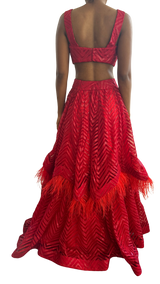 Crimson Red Feathered and Sequined Lehenga