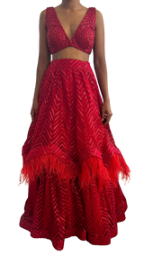 Crimson Red Feathered and Sequined Lehenga