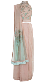 Nude & Mint Embroidered Sari Set