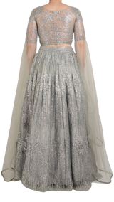 Silver Embellished Shimmering Lehenga