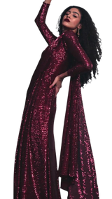 Deep Red Shimmering Sequined Sari Gown