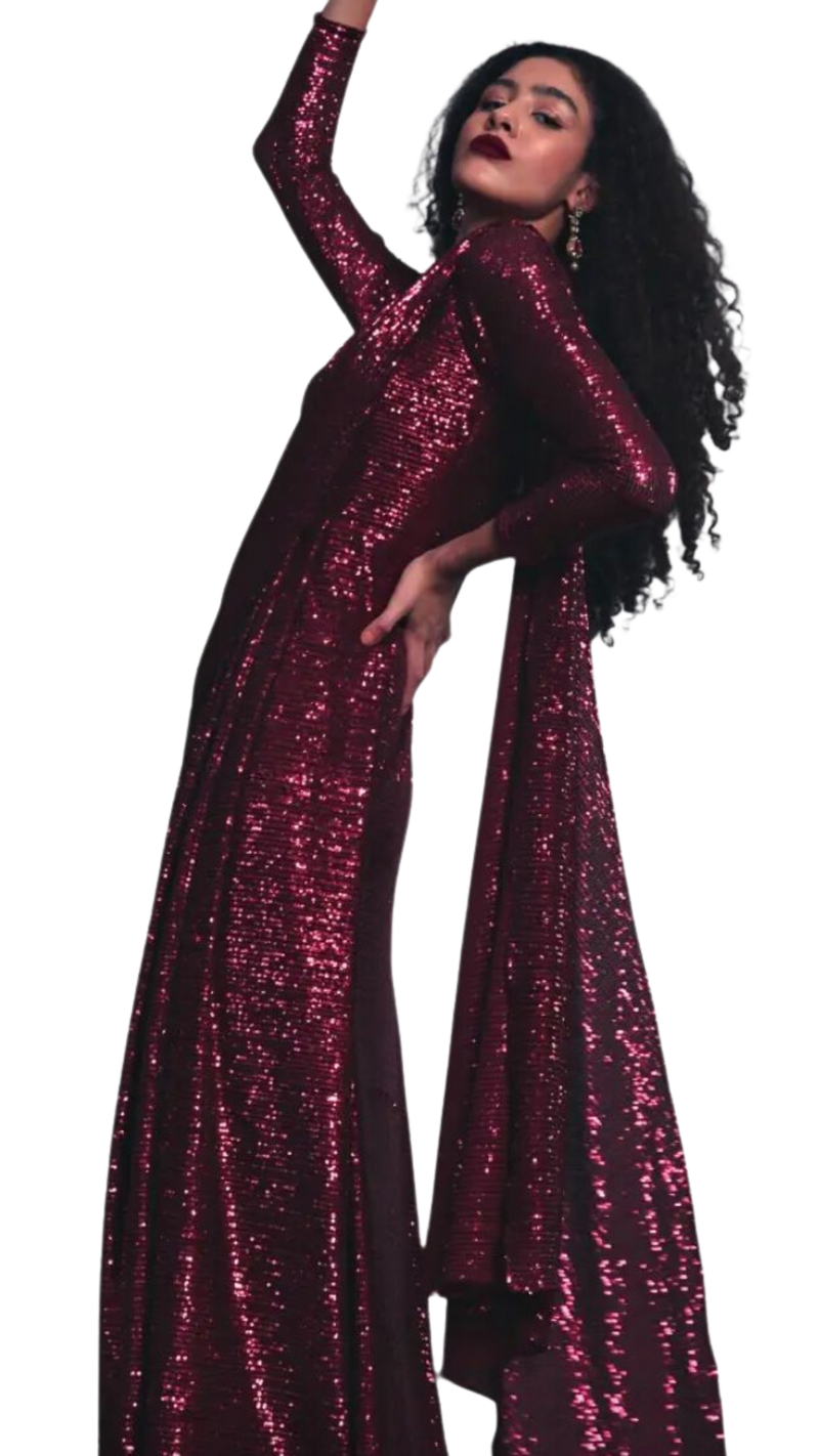 Deep Red Shimmering Sequined Sari Gown