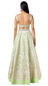 Lime Green Sleeveless Banarasi Lehenga