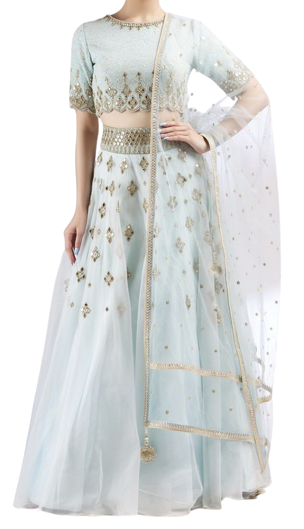 Baby Blue Organza Embroidered Lehenga - Preserve